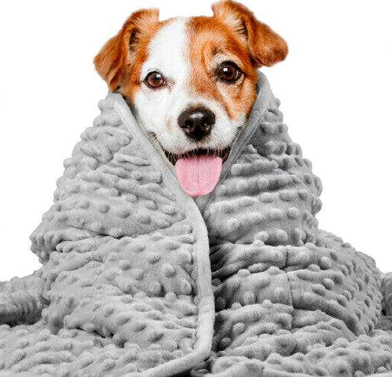 Couverture apaisante Harmonia™ – Anti-stress & sommeil profond pour chien