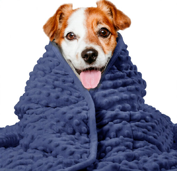Couverture apaisante Harmonia™ – Anti-stress & sommeil profond pour chien
